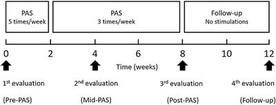 Effects of Long-Term Paired Associative Stimulation on Strength of Leg Muscles and Walking in Chronic Tetraplegia: A Proof-of-Concept Pilot Study